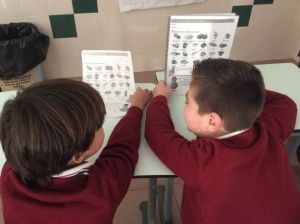 Archivo 4-12-15 14 12 04