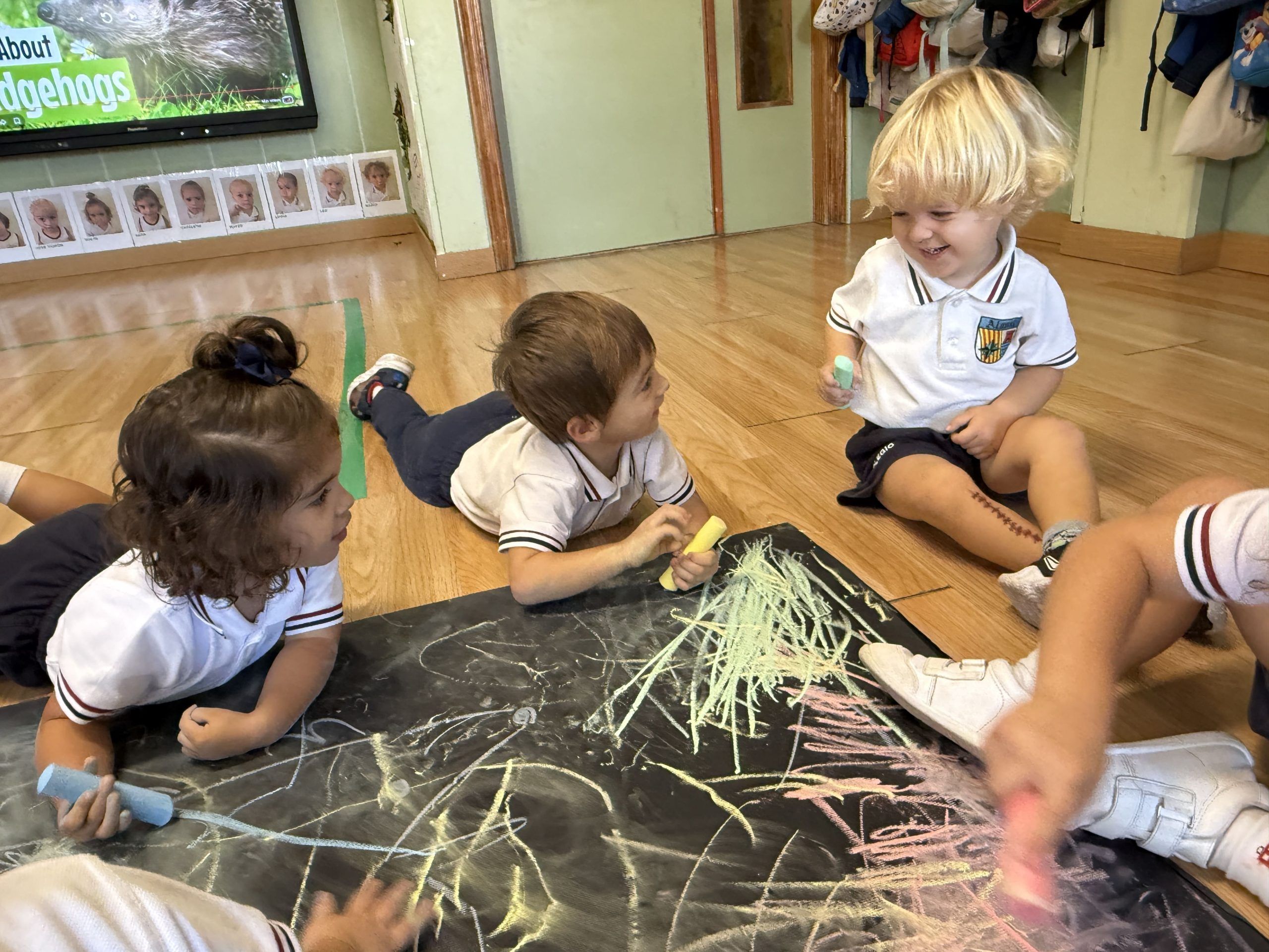 Damos la bienvenida al otoño con los erizos
